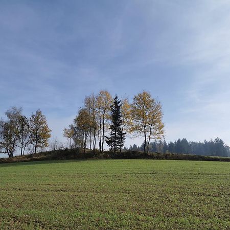 Kindererlebnis- Und Biobauernhof Hipp-Bruckner Wornharts المظهر الخارجي الصورة